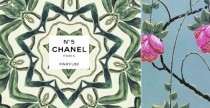 Chanel N. 5 Wallpapers